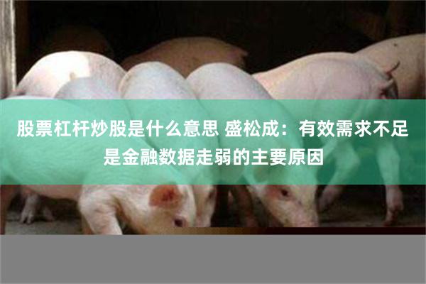 股票杠杆炒股是什么意思 盛松成：有效需求不足是金融数据走弱的主要原因