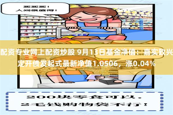 配资专业网上配资炒股 9月13日基金净值：嘉实致兴定开债发起式最新净值1.0506，涨0.04%