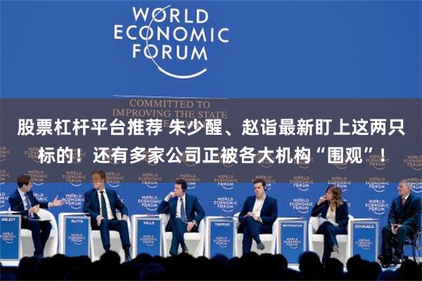 股票杠杆平台推荐 朱少醒、赵诣最新盯上这两只标的！还有多家公司正被各大机构“围观”！