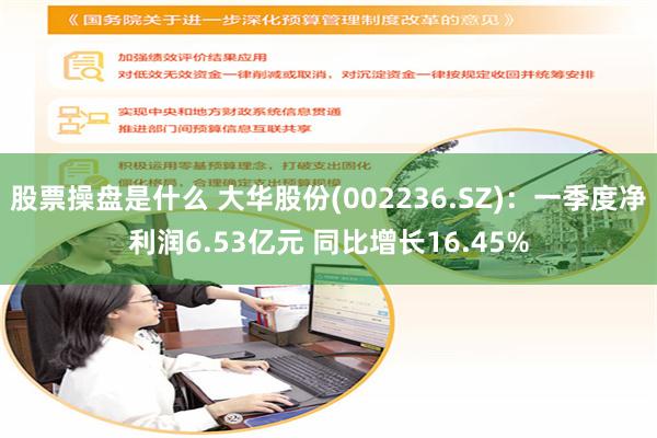 股票操盘是什么 大华股份(002236.SZ)：一季度净利润6.53亿元 同比增长16.45%