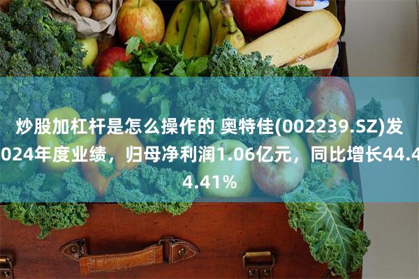 炒股加杠杆是怎么操作的 奥特佳(002239.SZ)发布2024年度业绩，归母净利润1.06亿元，同比增长44.41%