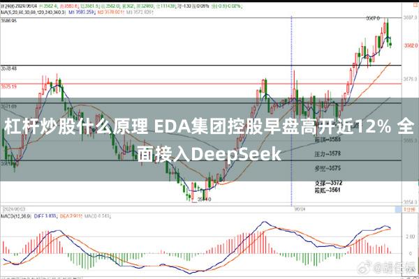 杠杆炒股什么原理 EDA集团控股早盘高开近12% 全面接入DeepSeek