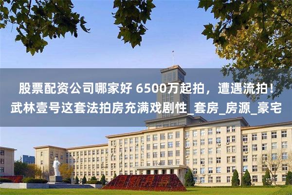 股票配资公司哪家好 6500万起拍，遭遇流拍！武林壹号这套法拍房充满戏剧性_套房_房源_豪宅