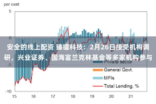 安全的线上配资 臻镭科技：2月26日接受机构调研，兴业证券、国海富兰克林基金等多家机构参与
