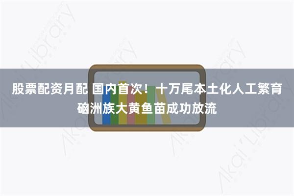 股票配资月配 国内首次！十万尾本土化人工繁育硇洲族大黄鱼苗成功放流