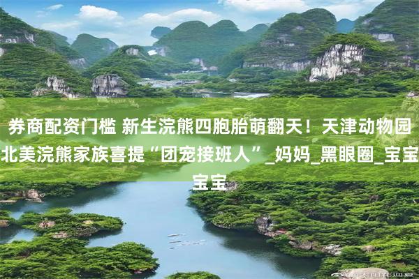 券商配资门槛 新生浣熊四胞胎萌翻天！天津动物园北美浣熊家族喜提“团宠接班人”_妈妈_黑眼圈_宝宝