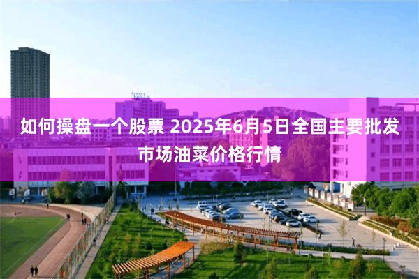 如何操盘一个股票 2025年6月5日全国主要批发市场油菜价格行情