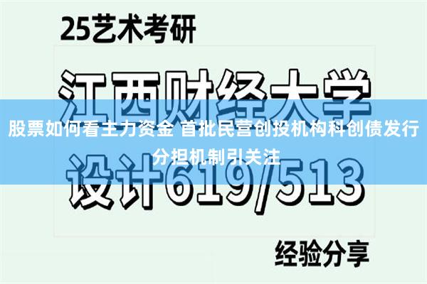 股票如何看主力资金 首批民营创投机构科创债发行 分担机制引关注