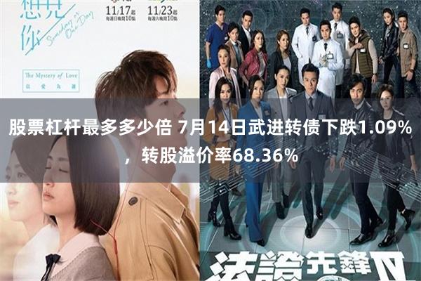 股票杠杆最多多少倍 7月14日武进转债下跌1.09%，转股溢价率68.36%