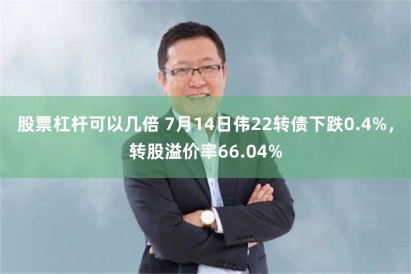 股票杠杆可以几倍 7月14日伟22转债下跌0.4%，转股溢价率66.04%