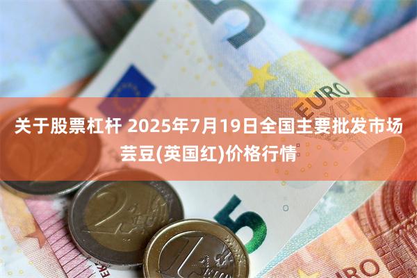 关于股票杠杆 2025年7月19日全国主要批发市场芸豆(英国红)价格行情