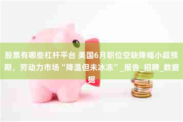 股票有哪些杠杆平台 美国6月职位空缺降幅小超预期，劳动力市场“降温但未冰冻”_报告_招聘_数据