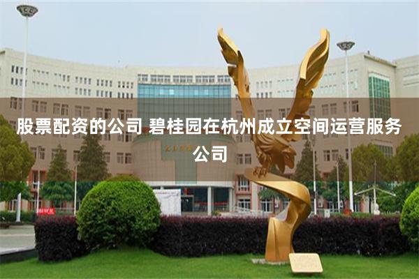股票配资的公司 碧桂园在杭州成立空间运营服务公司