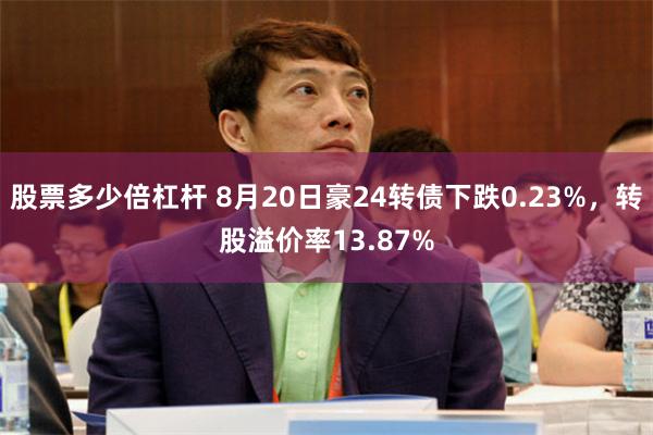 股票多少倍杠杆 8月20日豪24转债下跌0.23%，转股溢价率13.87%