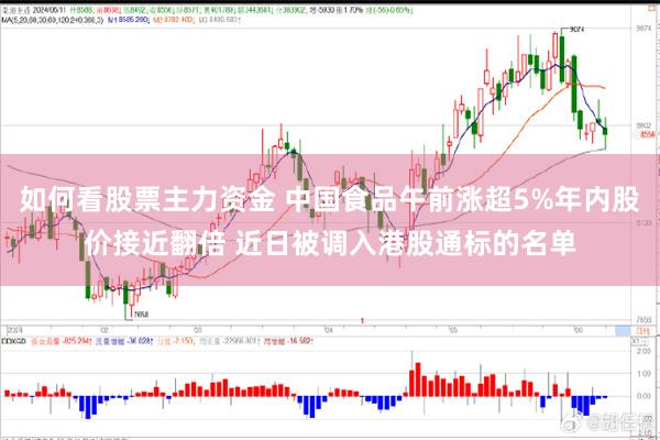 如何看股票主力资金 中国食品午前涨超5%年内股价接近翻倍 近日被调入港股通标的名单