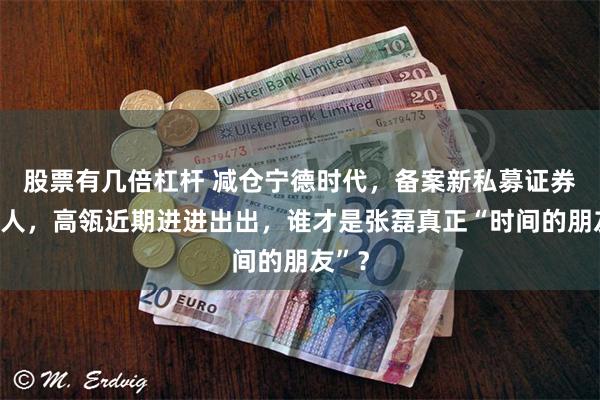 股票有几倍杠杆 减仓宁德时代，备案新私募证券管理人，高瓴近期进进出出，谁才是张磊真正“时间的朋友”？