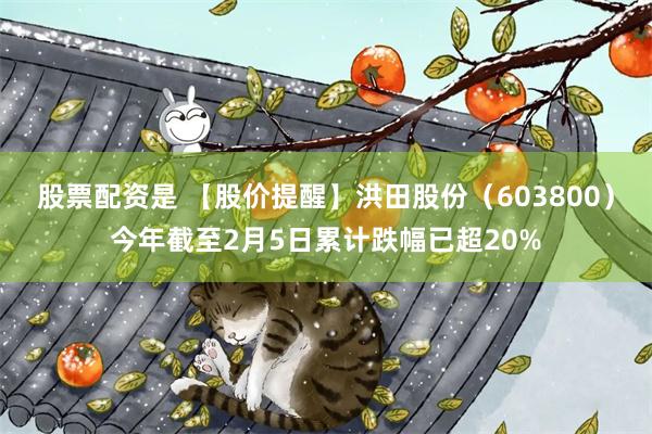 股票配资是 【股价提醒】洪田股份（603800）今年截至2月5日累计跌幅已超20%