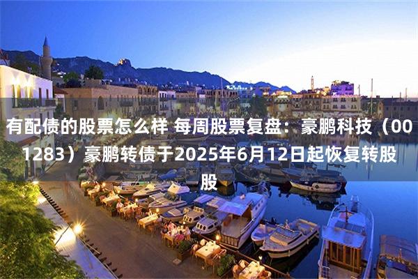 有配债的股票怎么样 每周股票复盘:豪鹏科技(001283)豪鹏转债于2025年6月12日起恢复转股