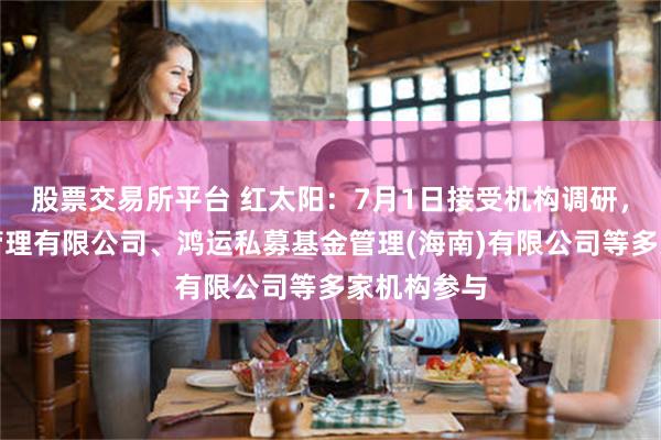 股票交易所平台 红太阳：7月1日接受机构调研，国融基金管理有限公司、鸿运私募基金管理(海南)有限公司等多家机构参与