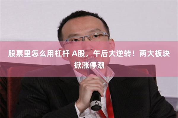 股票里怎么用杠杆 A股，午后大逆转！两大板块掀涨停潮
