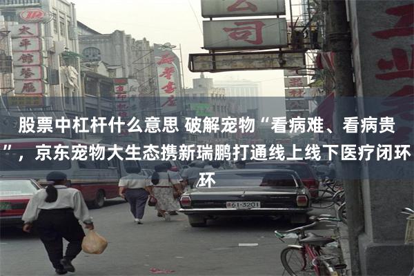股票中杠杆什么意思 破解宠物“看病难、看病贵”，京东宠物大生态携新瑞鹏打通线上线下医疗闭环
