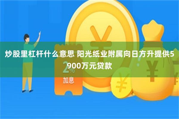 炒股里杠杆什么意思 阳光纸业附属向日方升提供5900万元贷款