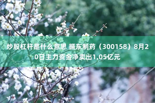 炒股杠杆是什么意思 振东制药(300158)8月20日主力资金净卖出1.05亿元