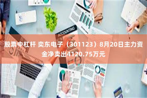 股票中杠杆 奕东电子（301123）8月20日主力资金净卖出4120.75万元