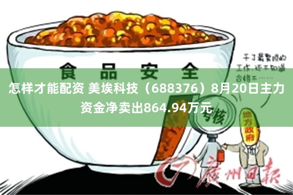 怎样才能配资 美埃科技（688376）8月20日主力资金净卖出864.94万元