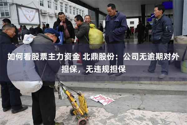 如何看股票主力资金 北鼎股份：公司无逾期对外担保，无违规担保