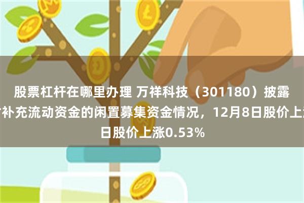 股票杠杆在哪里办理 万祥科技（301180）披露归还暂时补充流动资金的闲置募集资金情况，12月8日股价上涨0.53%