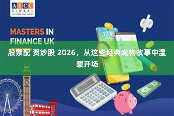 股票配 资炒股 2026,从这些经典宠物故事中温暖开场