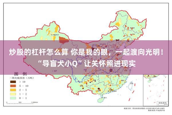 炒股的杠杆怎么算 你是我的眼，一起渡向光明！“导盲犬小Q”让关怀照进现实