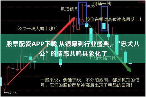 股票配资APP下载 从银幕到行业盛典，“忠犬八公”的情感共鸣具象化了