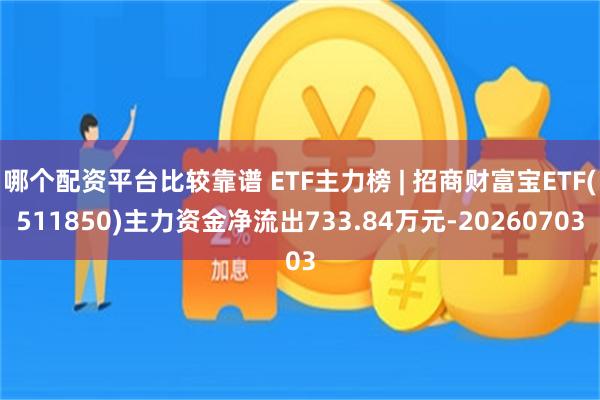 哪个配资平台比较靠谱 ETF主力榜 | 招商财富宝ETF(511850)主力资金净流出733.84万元-20260703