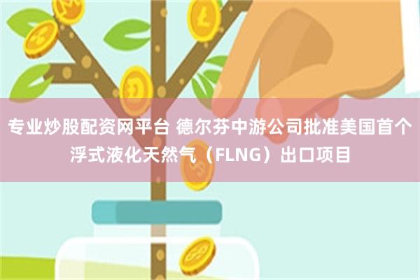 专业炒股配资网平台 德尔芬中游公司批准美国首个浮式液化天然气（FLNG）出口项目