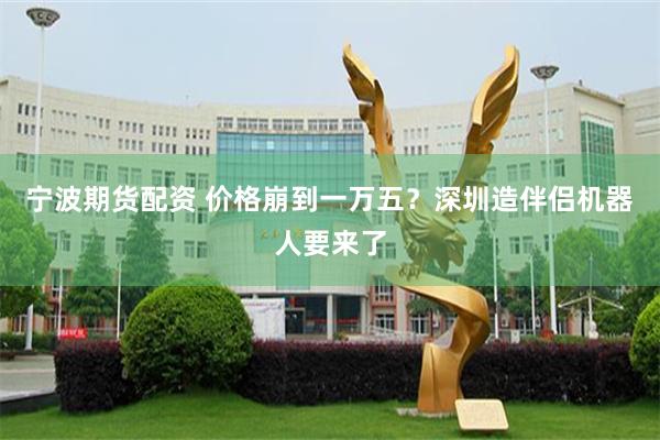 宁波期货配资 价格崩到一万五?深圳造伴侣机器人要来了