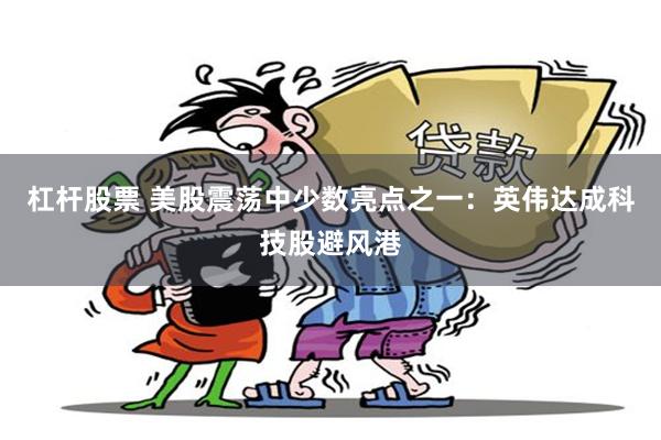 杠杆股票 美股震荡中少数亮点之一：英伟达成科技股避风港