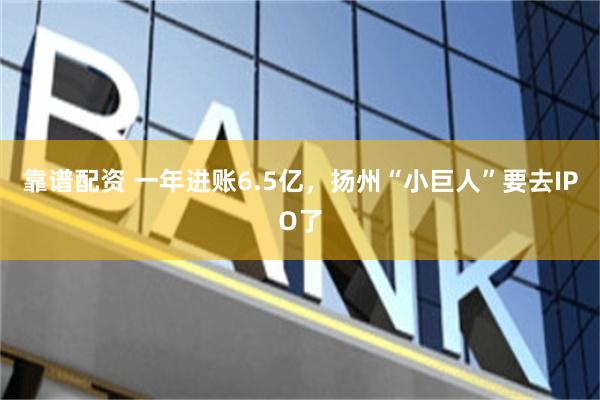 靠谱配资 一年进账6.5亿，扬州“小巨人”要去IPO了