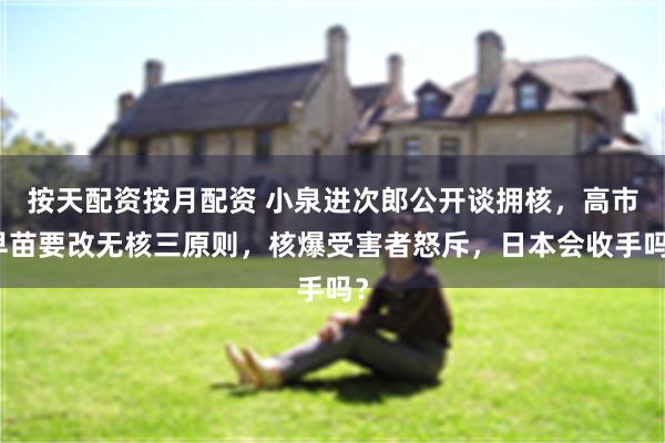 按天配资按月配资 小泉进次郎公开谈拥核,高市早苗要改无核三原则,核爆受害者怒斥,日本会收手吗?