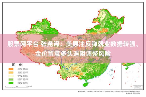 股票网平台 张尧浠：美原油反弹就业数据转强、金价留意多头遇阻调整风险
