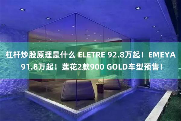 杠杆炒股原理是什么 ELETRE 92.8万起！EMEYA 91.8万起！莲花2款900 GOLD车型预售！