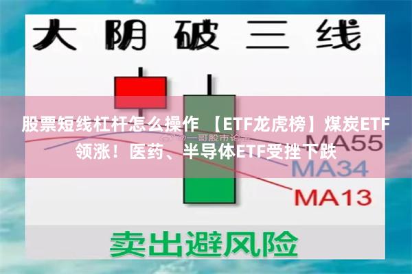 股票短线杠杆怎么操作 【ETF龙虎榜】煤炭ETF领涨！医药、半导体ETF受挫下跌