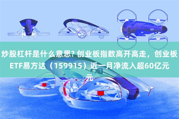 炒股杠杆是什么意思? 创业板指数高开高走，创业板ETF易方达（159915）近一月净流入超60亿元