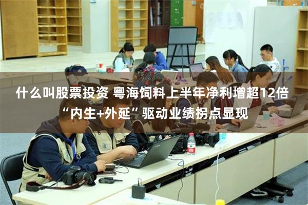 什么叫股票投资 粤海饲料上半年净利增超12倍 “内生+外延”驱动业绩拐点显现