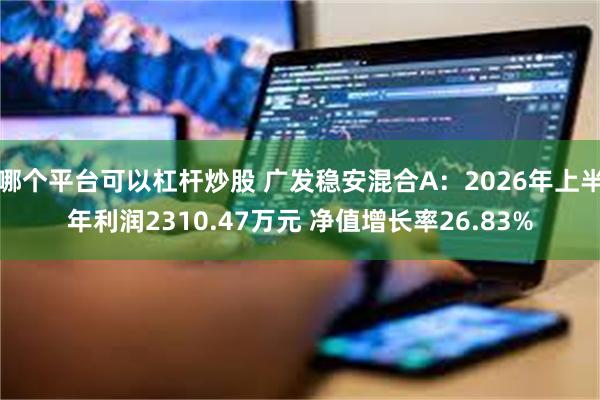 哪个平台可以杠杆炒股 广发稳安混合A：2026年上半年利润2310.47万元 净值增长率26.83%