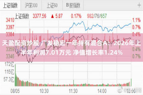 天盈配资炒股 广发稳宏一年持有混合A：2026年上半年利润7.01万元 净值增长率1.24%