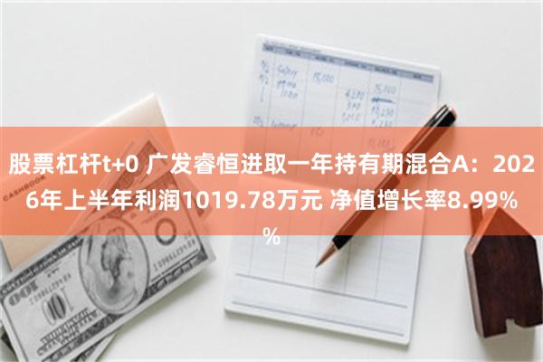 股票杠杆t+0 广发睿恒进取一年持有期混合A：2026年上半年利润1019.78万元 净值增长率8.99%