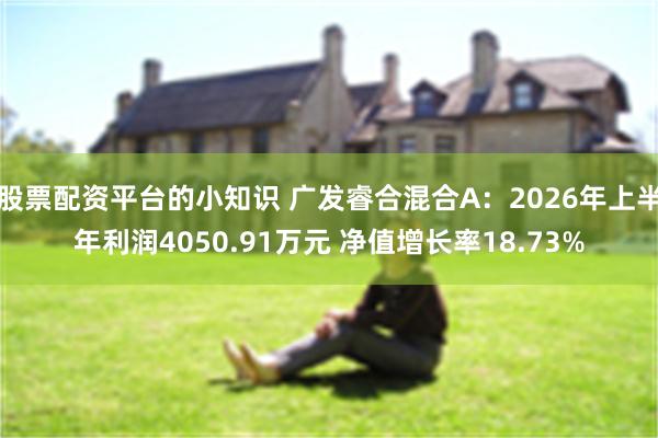 股票配资平台的小知识 广发睿合混合A：2026年上半年利润4050.91万元 净值增长率18.73%