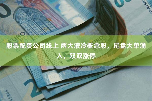 股票配资公司线上 两大液冷概念股，尾盘大单涌入，双双涨停